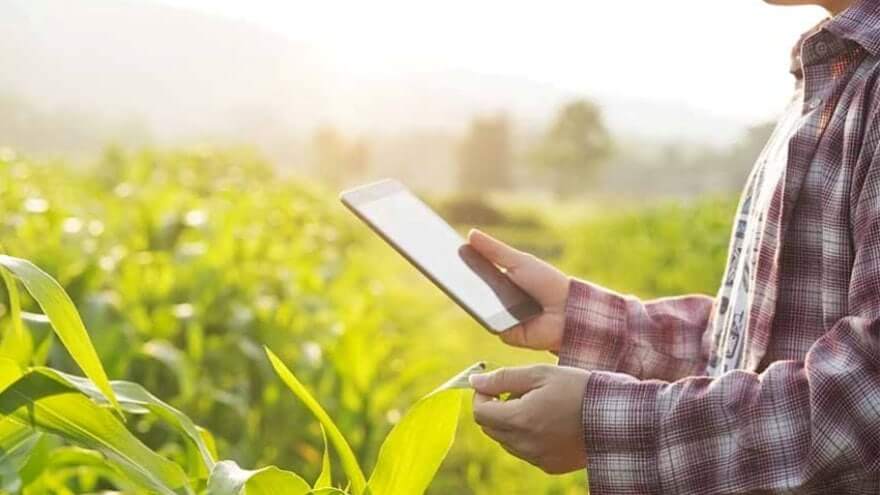 Agro Negocios